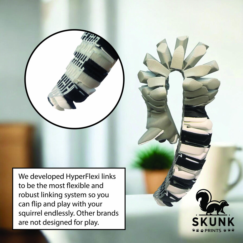 Sensory Ringtail Cat