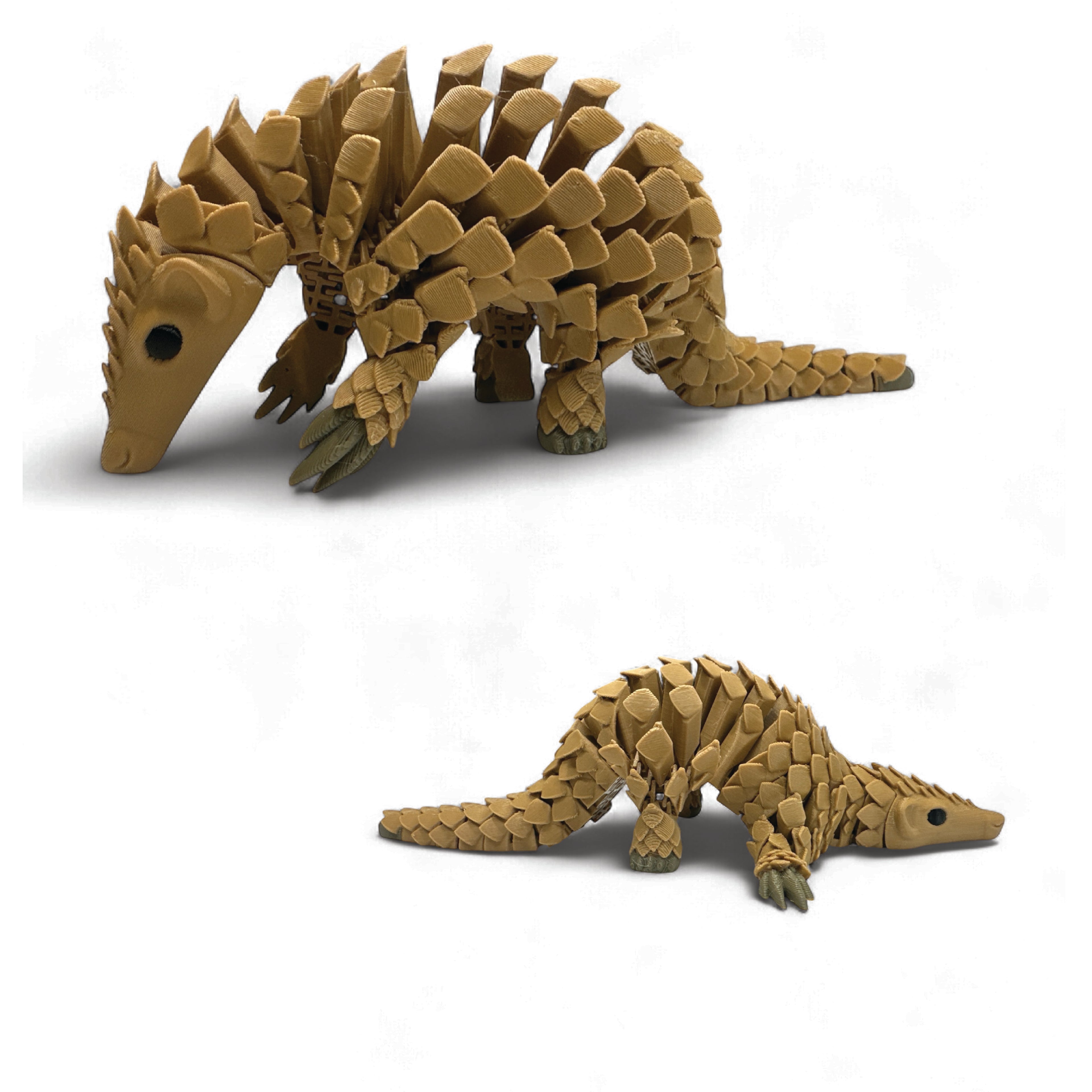 Sensory Pangolin