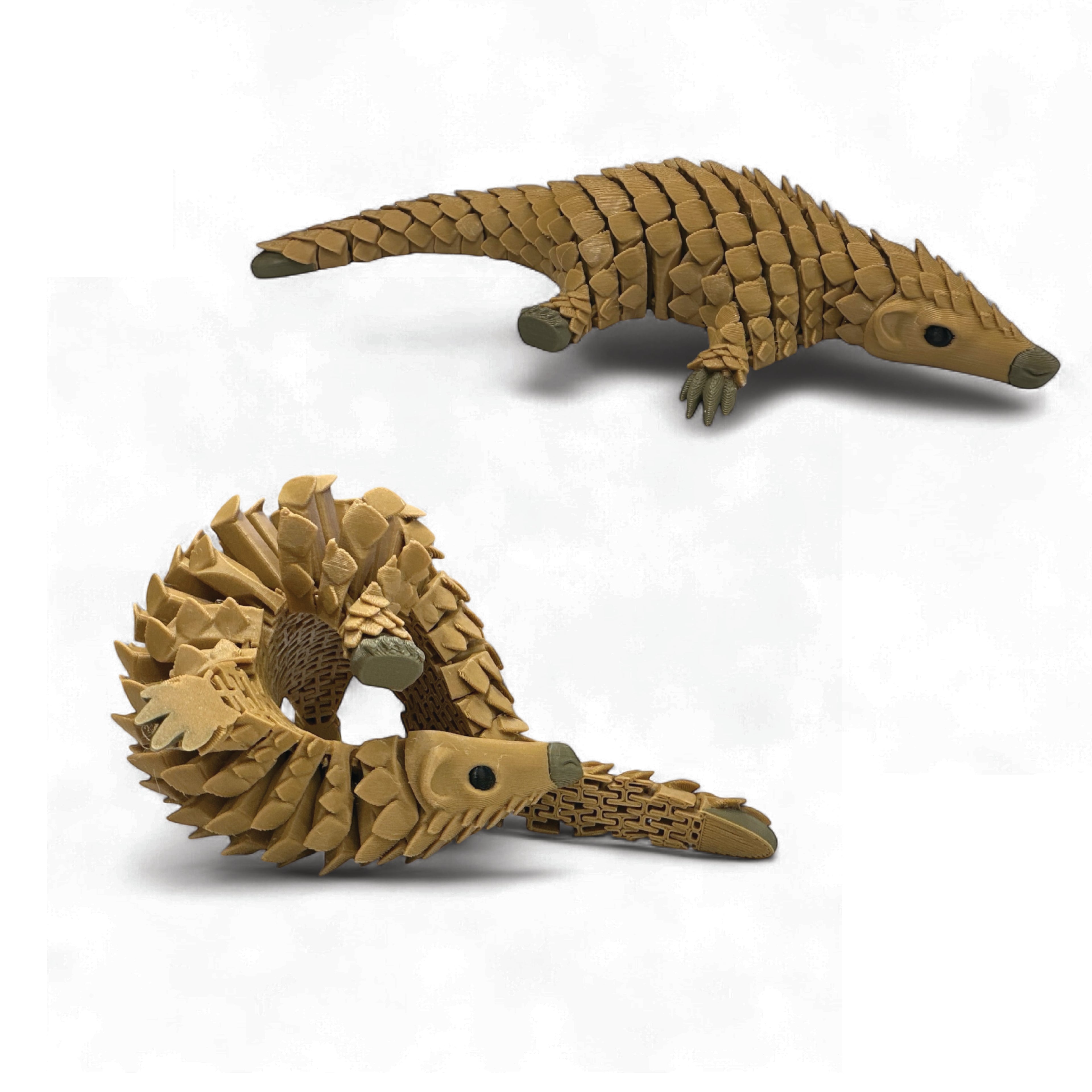 Sensory Pangolin