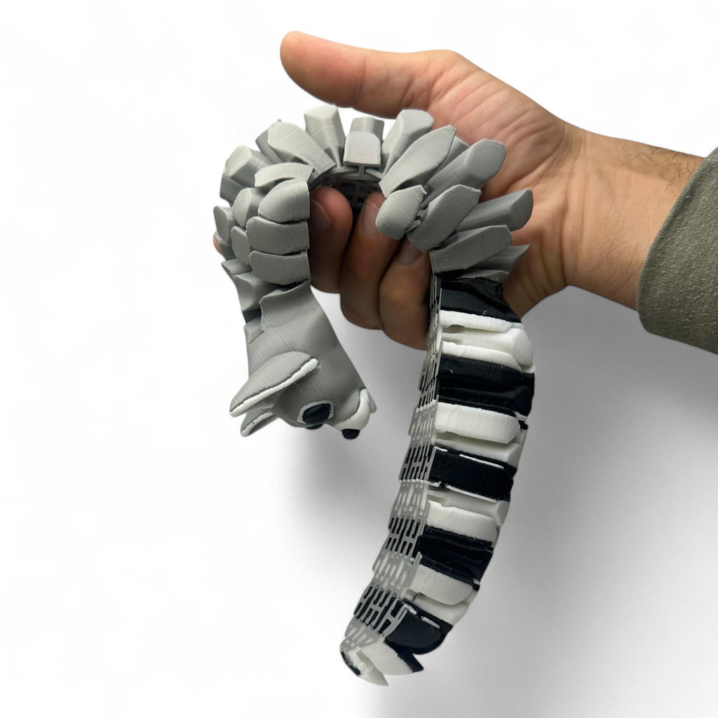 Sensory Ringtail Cat